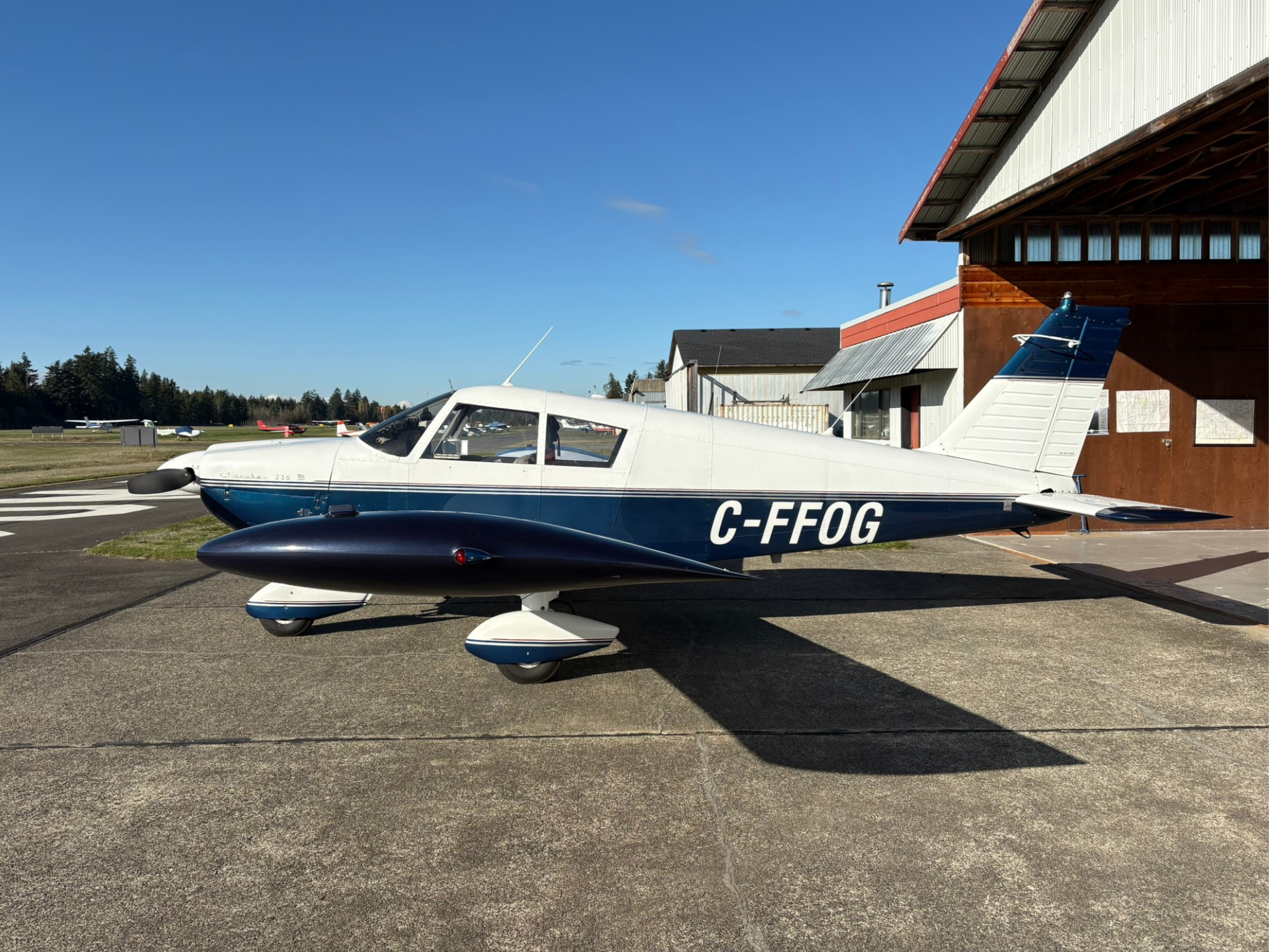 Single-engine propeller airplane parked on a tarmac beside a hangar, blue sky overhead, registration C-FOG visible on the fuselage.