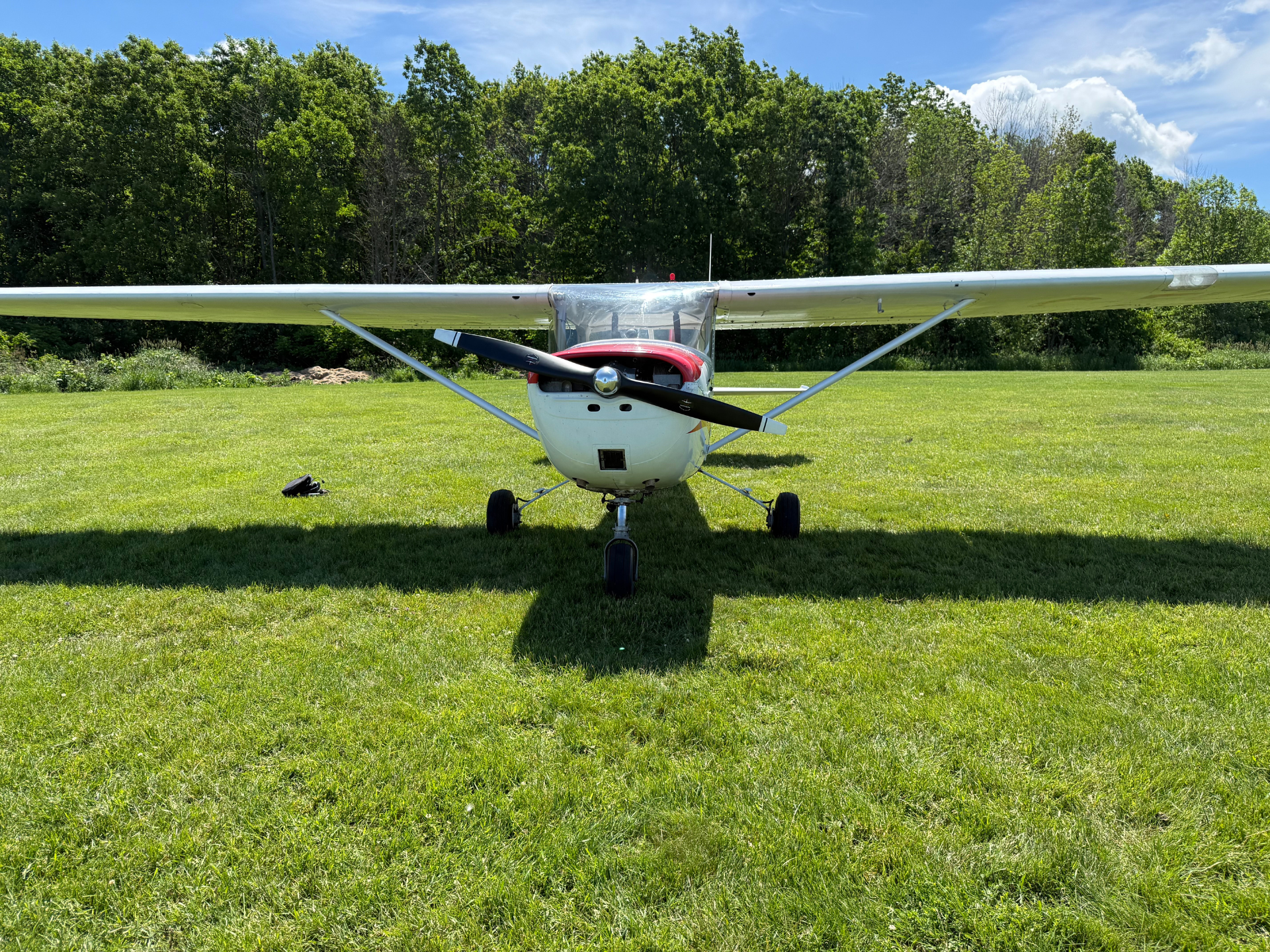 Front view of a small single-engine airplane parked on a grassy airfield with a tree line in the background and blue sky above.