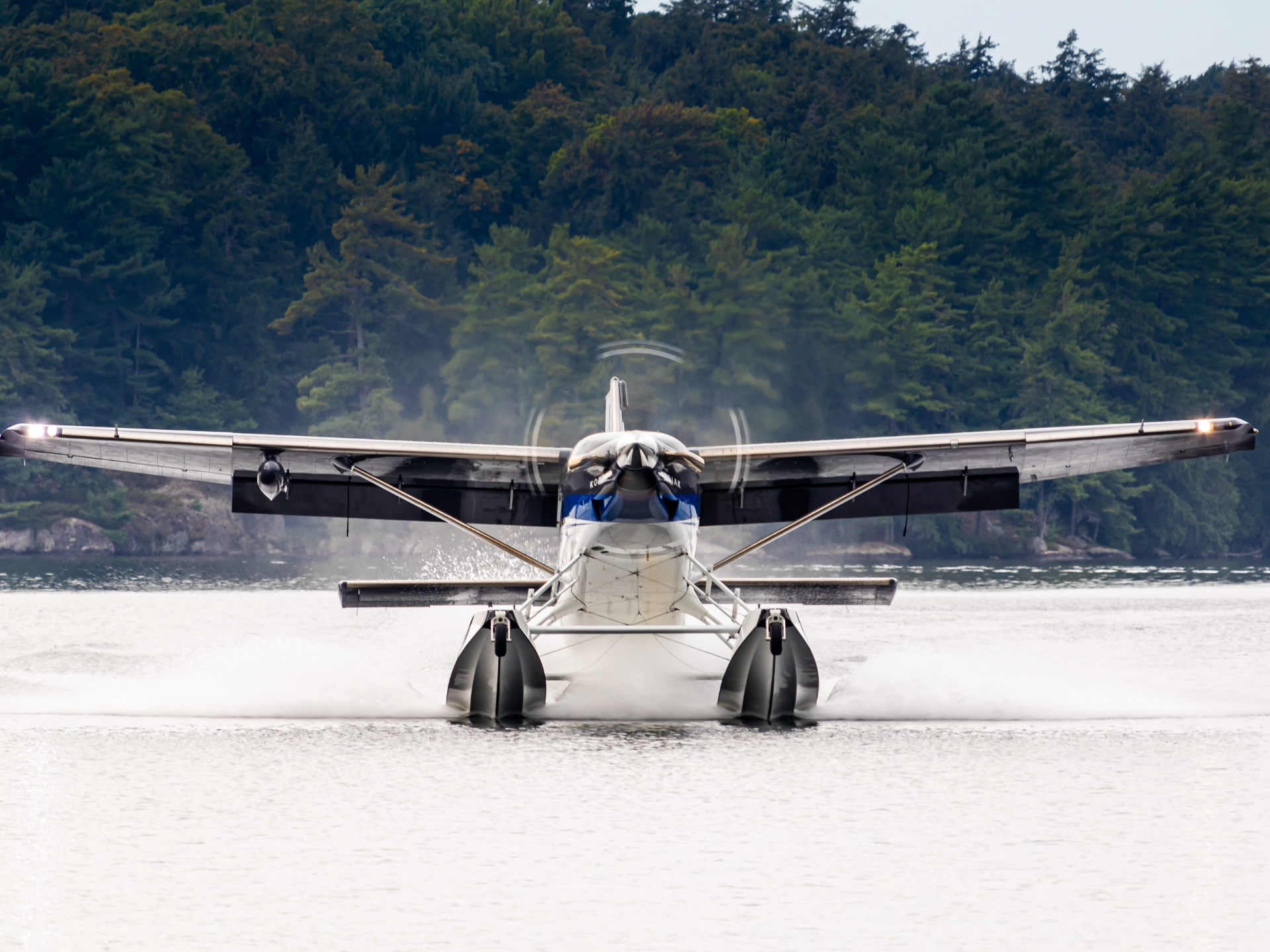 Front view of a blue and white amphibious airplane with pontoons on calm water forested shoreline in the background