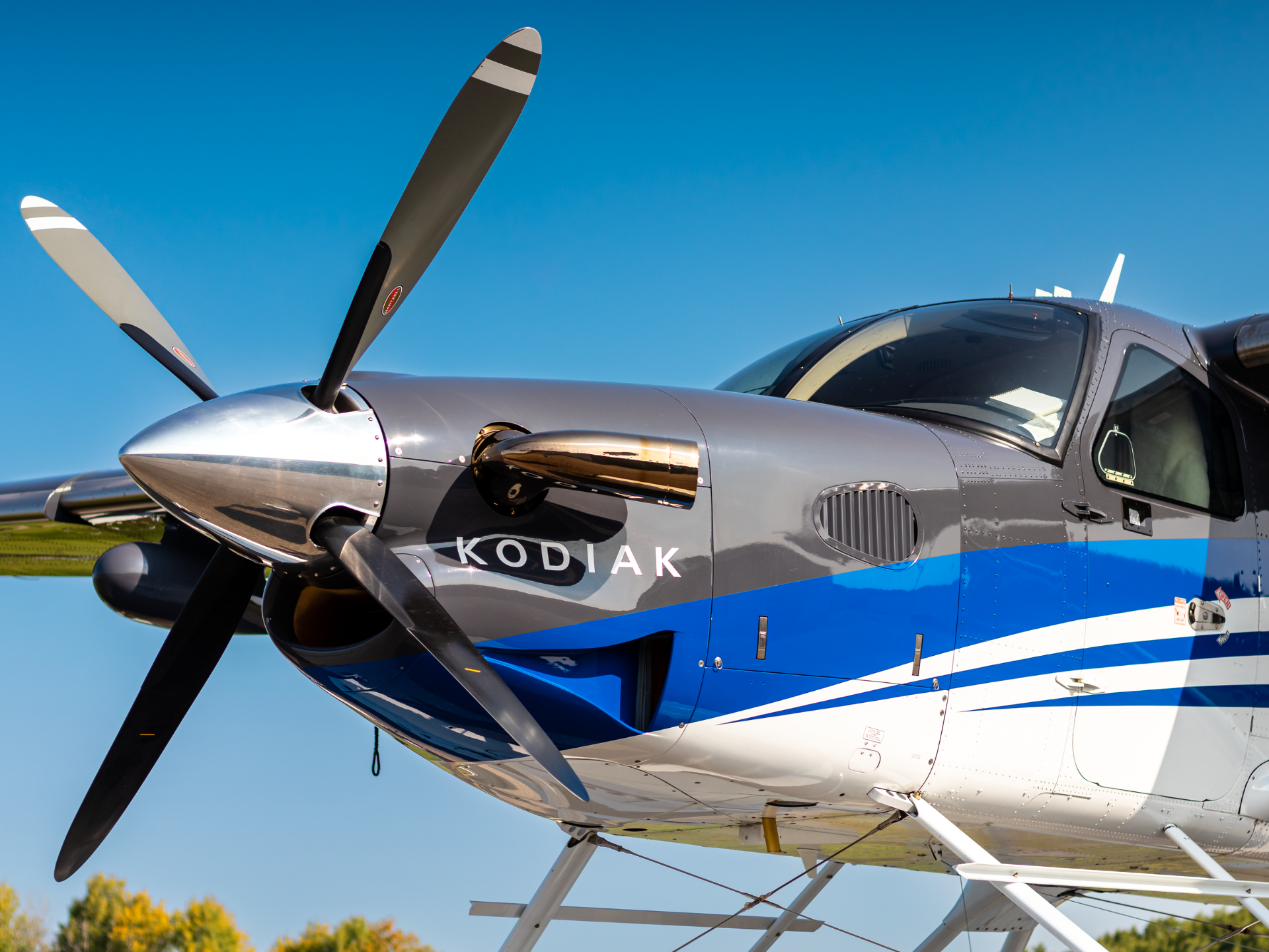 Close up of a gray and blue Kodiak aircraft with a black propeller and cockpit windows against a clear blue sky